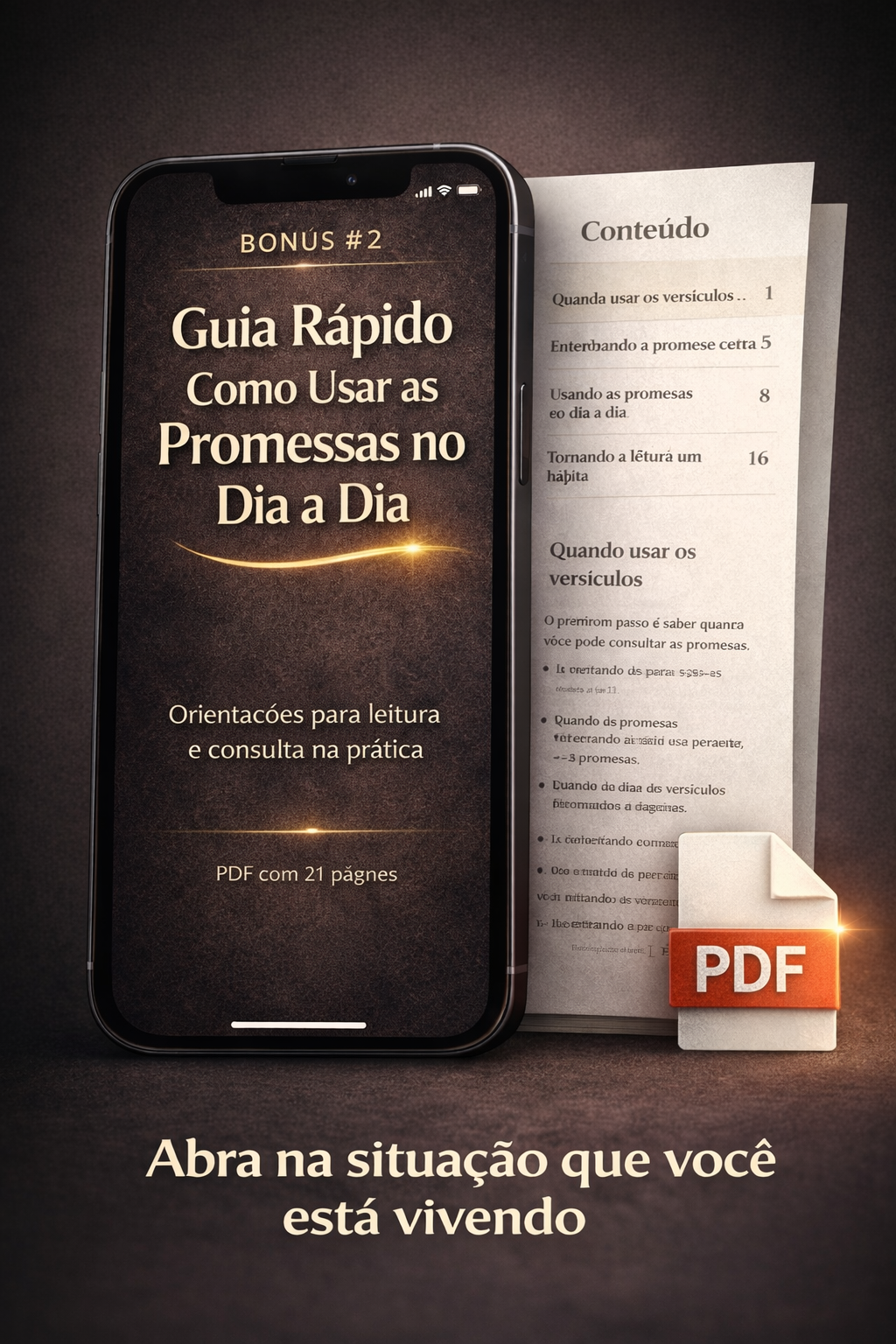 Bônus 2 - Guia de Uso